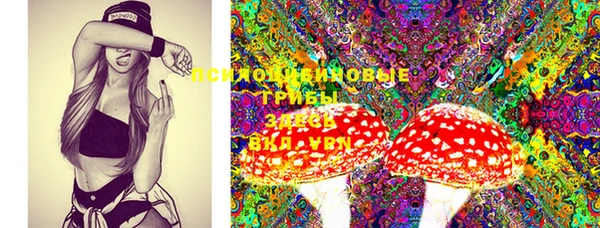 MESCALINE Кинешма