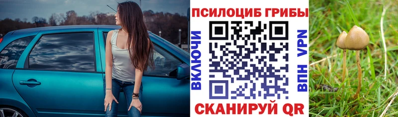 Купить закладки  Дзержинский  Псилоцибиновые грибы Cubensis 